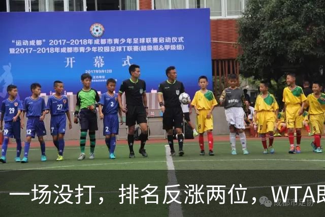 一场没打，排名反涨两位，WTA即时排名更新，郑钦文世界排名重回前二十