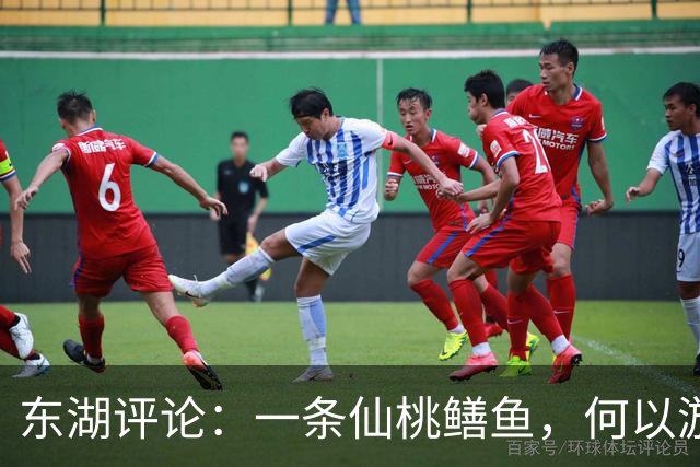 东湖评论：一条仙桃鳝鱼，何以游向世界？