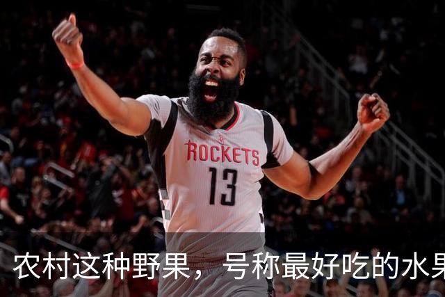 农村这种野果，号称"最好吃的水果"！插土就活，院子种几颗吃不完