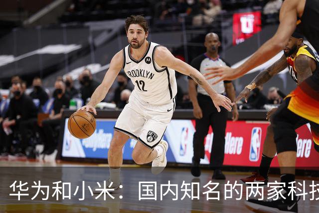 华为和小米：国内知名的两家科技公司，从产品端到粉丝端，良性竞争演变为对立攻击，互联网时代的超级饭圈文化（上）