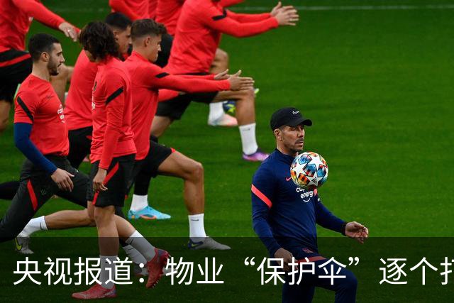 央视报道：物业“保护伞”逐个打破，查案1.2万件，6481人被处分