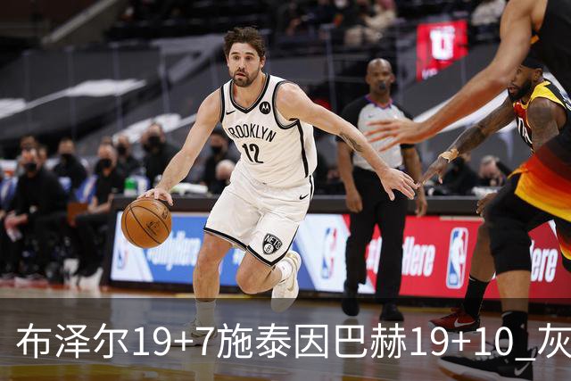 布泽尔19+7施泰因巴赫19+10 灰熊主场大胜黄蜂