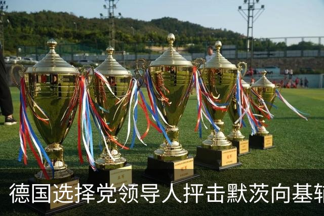 德国选择党领导人抨击默茨向基辅提供新援助：他现在完全失去理智