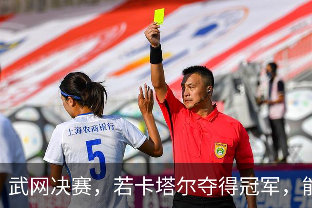 武网决赛，若卡塔尔夺得冠军，能取得四大历史性突破