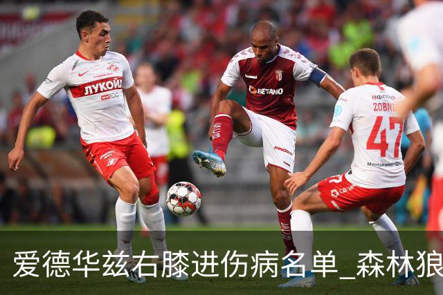 爱德华兹右膝进伤病名单 森林狼战骑士存变数