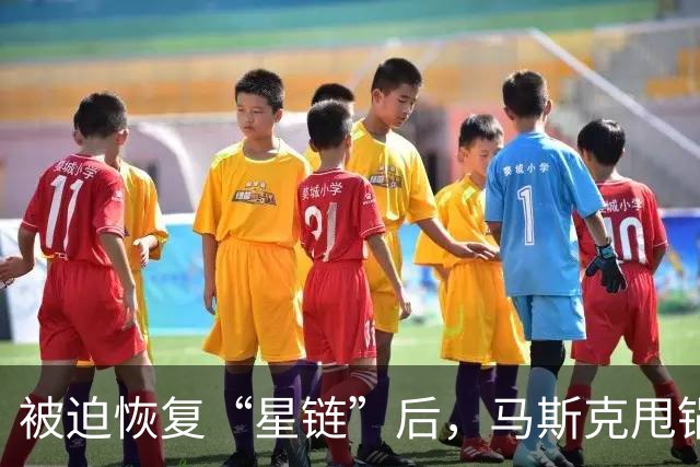 被迫恢复“星链”后，马斯克甩锅乌克兰：乌军因此损失百万美元无人机
