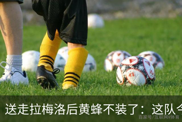 送走拉梅洛后黄蜂不装了：这队今年明年都别想赢